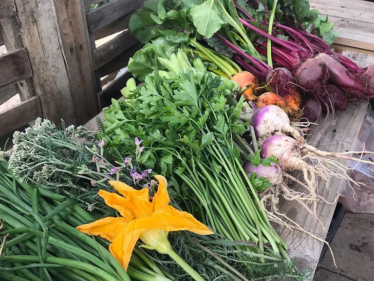 allotment