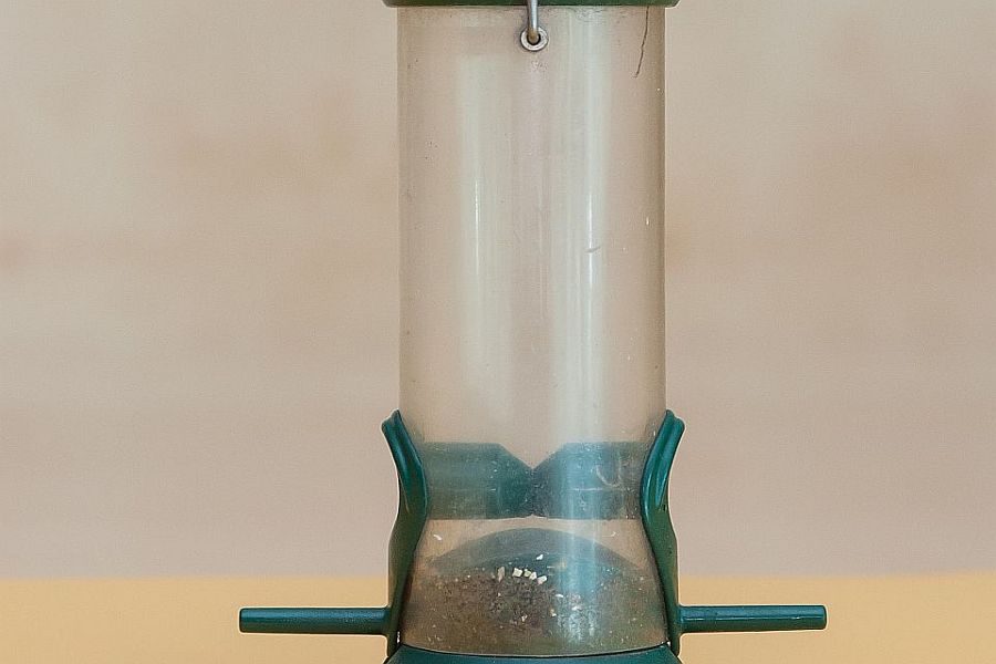 Photo of bird feeder