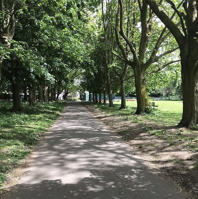 Photo of path in sunny park