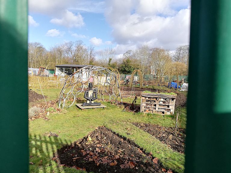 Photo of the allotment