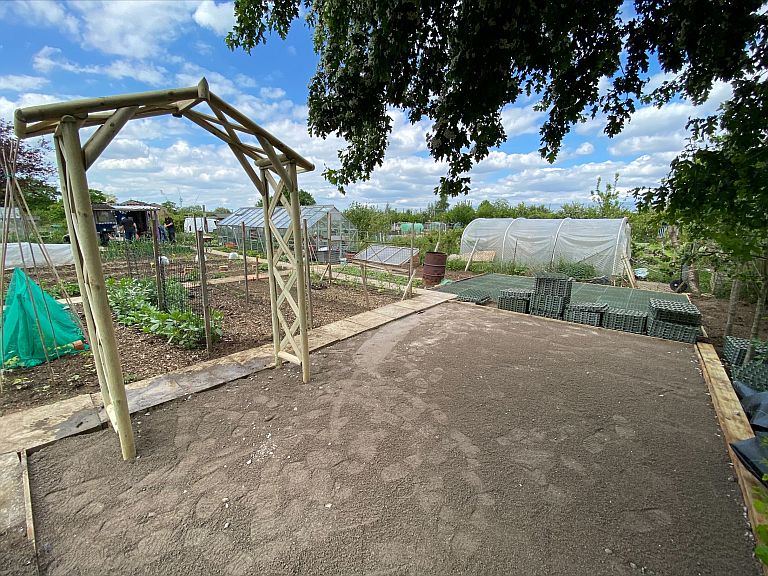 Photo of the allotment