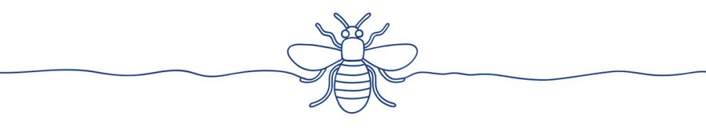 Manchester bee