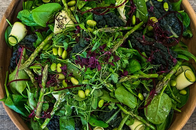 Freshly grown vegetables