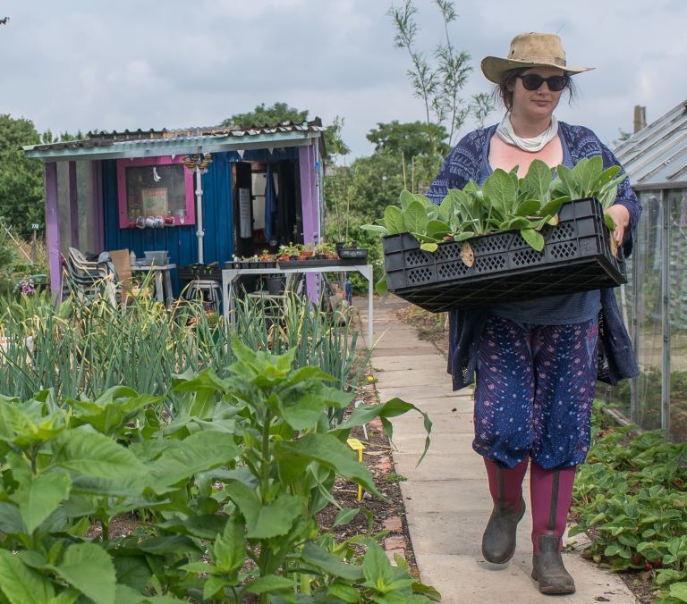 Carolyn at the allotment